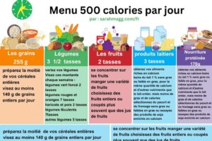 menu 500 calories par jour