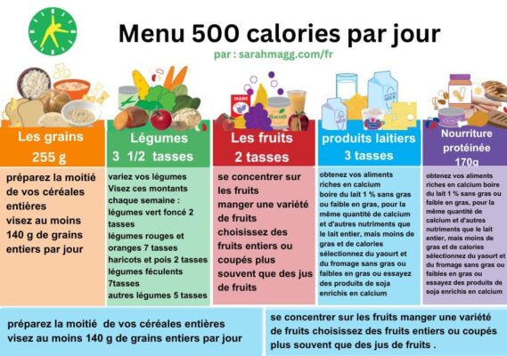 menu 500 calories par jour
